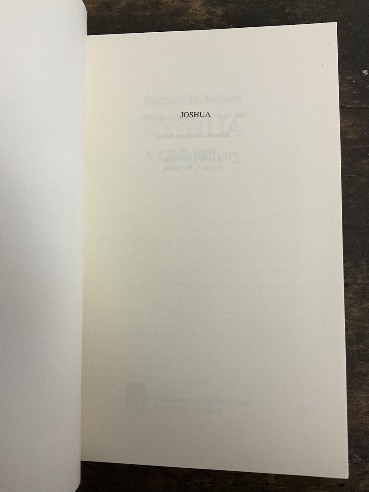 Joshua: A Commentary by Richard D. Nelson (1997, Trade Paperback)
