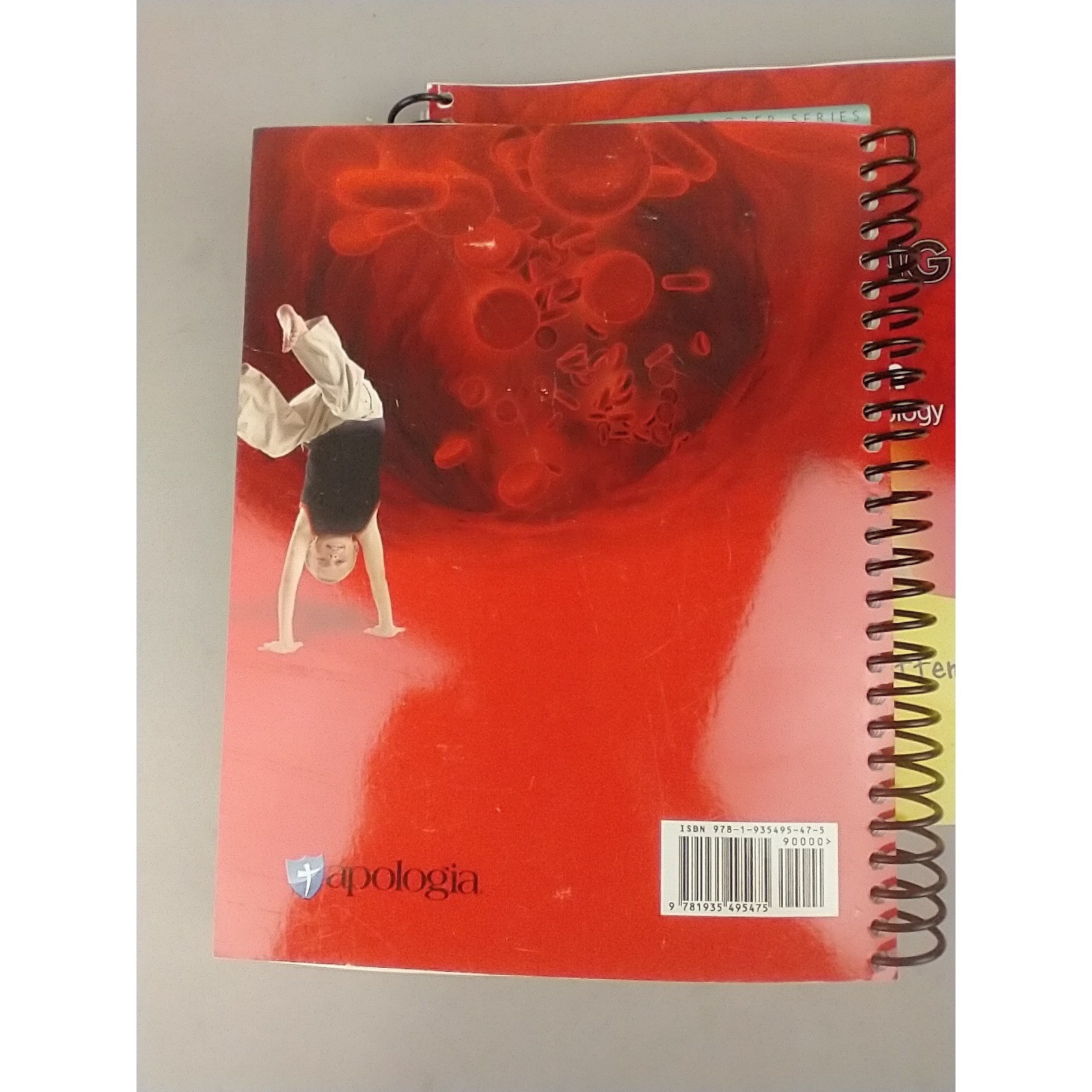 Apologia Junior Anatomy and Physiology Notebooking Journal Young Explorer Series