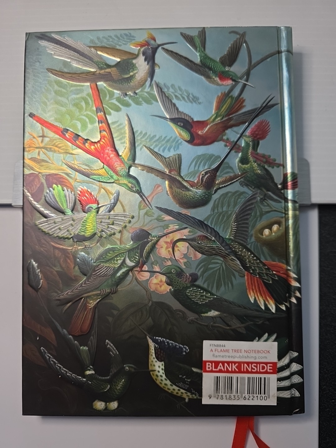 Ernst Haeckel: HUMMINGBIRDS (Foiled Blank Journal)
