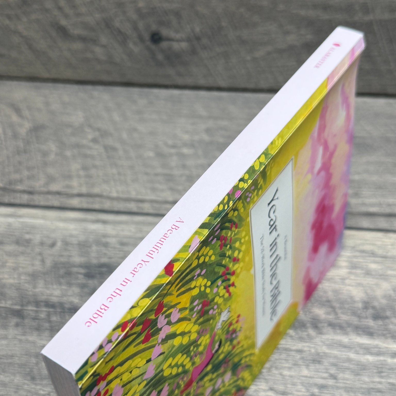 A Beautiful Year in the Bible Alabaster Creative Inc. 2024 52-Week Bible Study