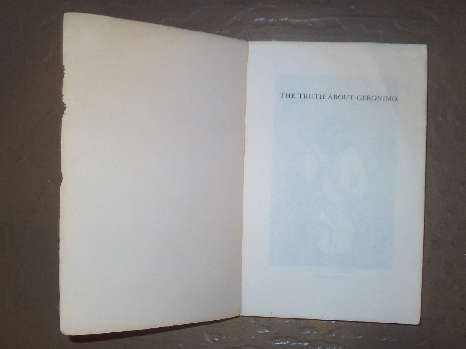 THE TRUTH ABOUT GERONIMO DAVIS 1ST TRADE PAPERBACK EDITION USED G 1976