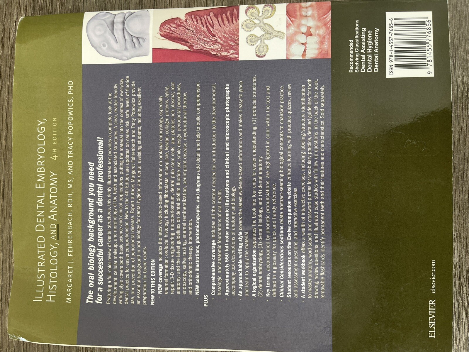 Illustrated Dental Embryology, Histology, and Anatomy by Margaret J. Fehrenbach