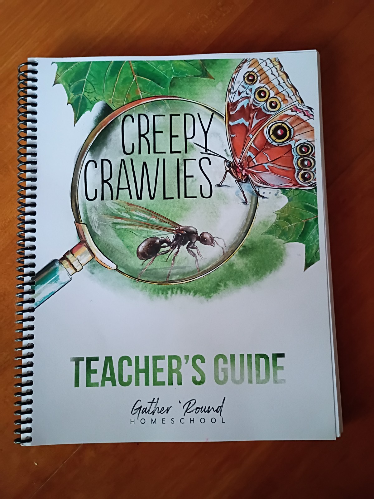 Creepy Crawlies- Gather Round Homeschool