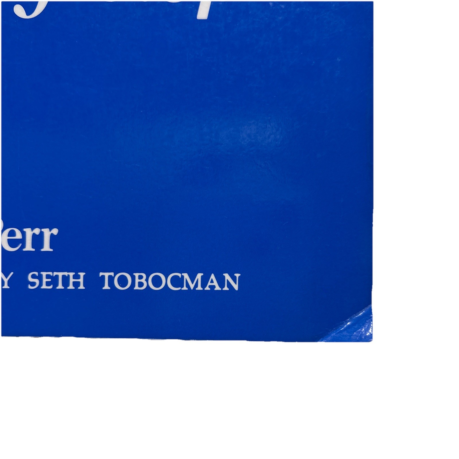 Making Art Together Step-by-Step by Herb Perr