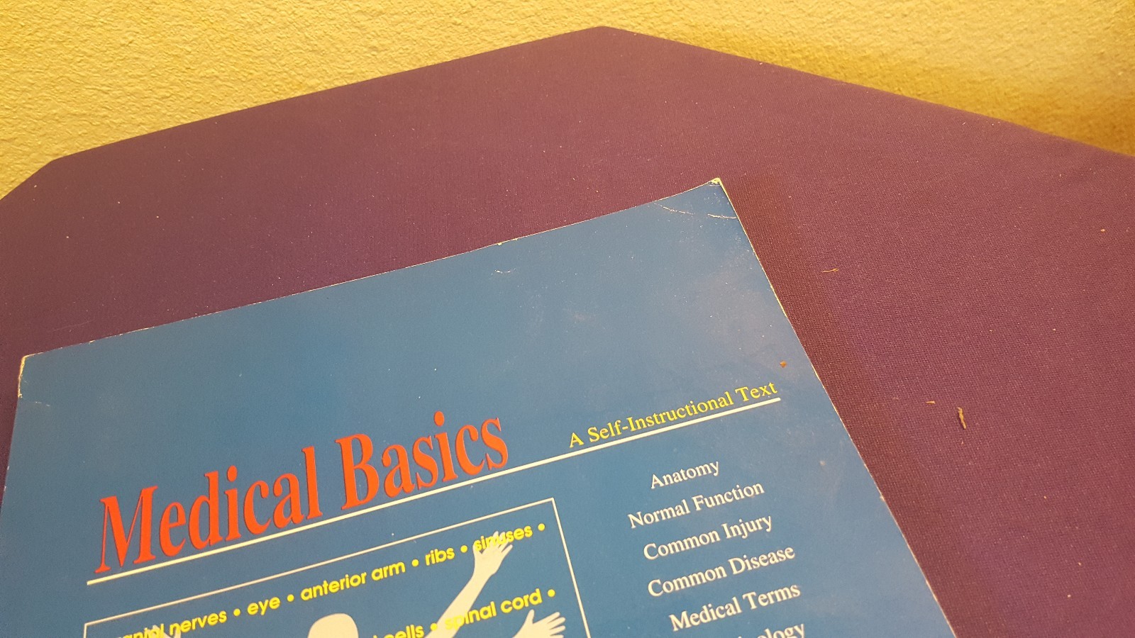 1996 MEDICAL BASICS Paperback Book by LINDA GIFFORD-MEULEVELD