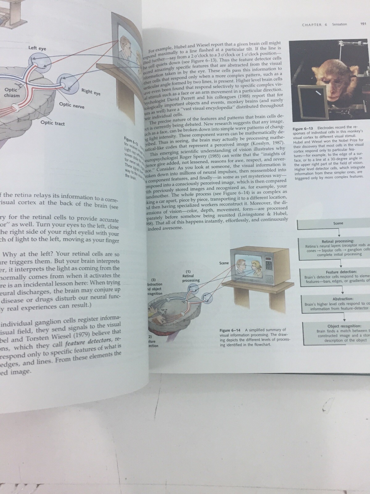 Psychology in Modules – David G. Myers (1988, Hardcover)
