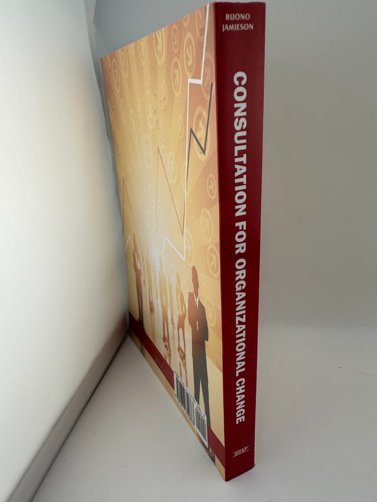 Consultation for Organizational Change Buono Jamieson 2010 Paperback Business