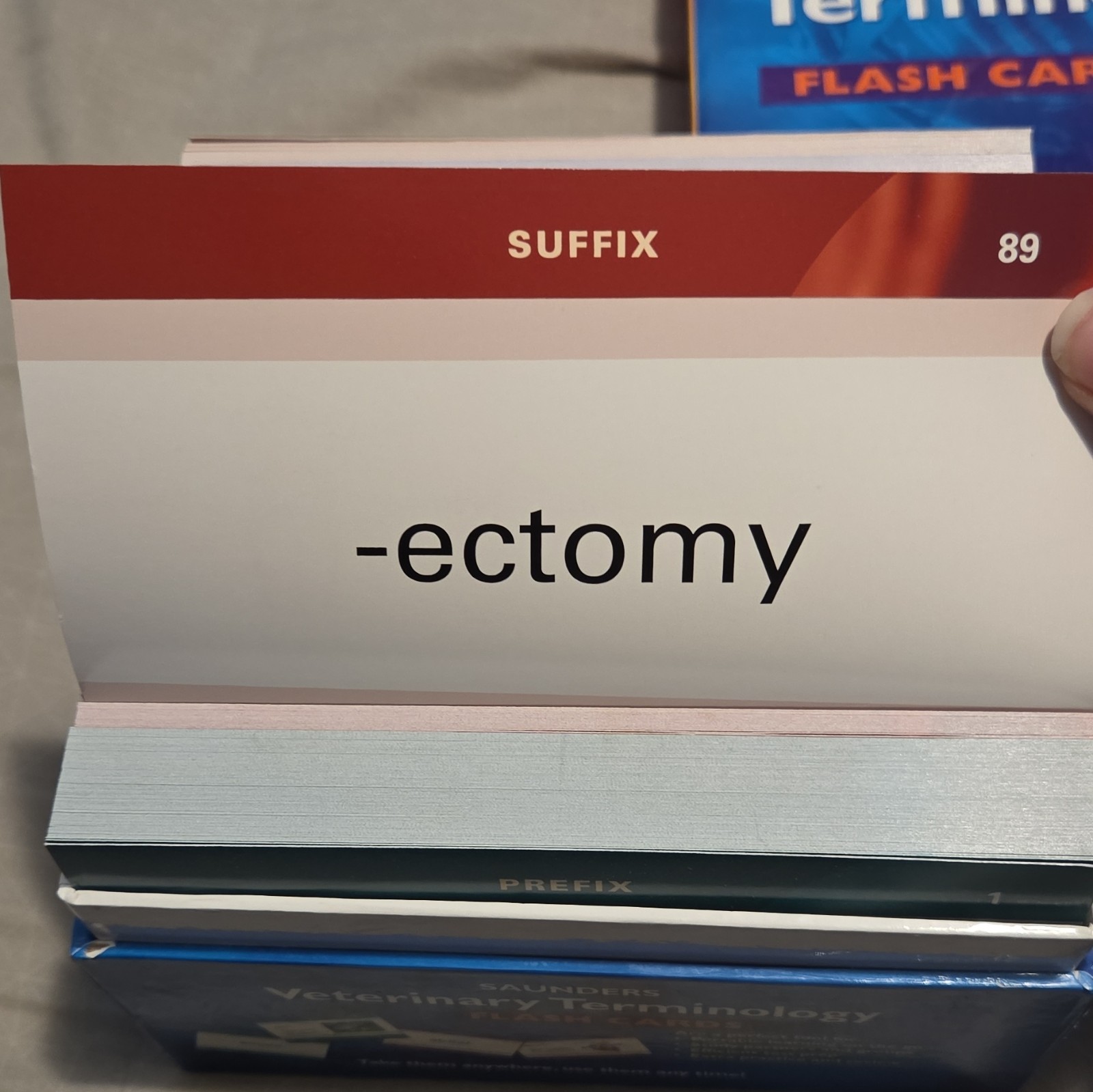 Saunders Veterinary Terminology Flash Cards 530 Full Color Cards Complete