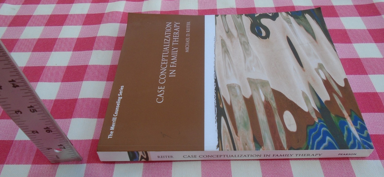 Case Conceptualization in Family Therapy by Michael Reiter