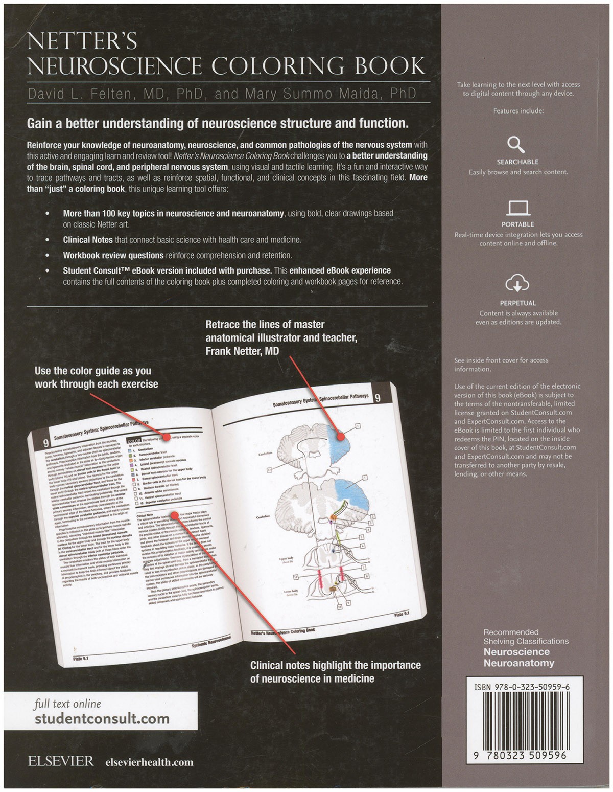 Netter’s Neuroscience Coloring Book