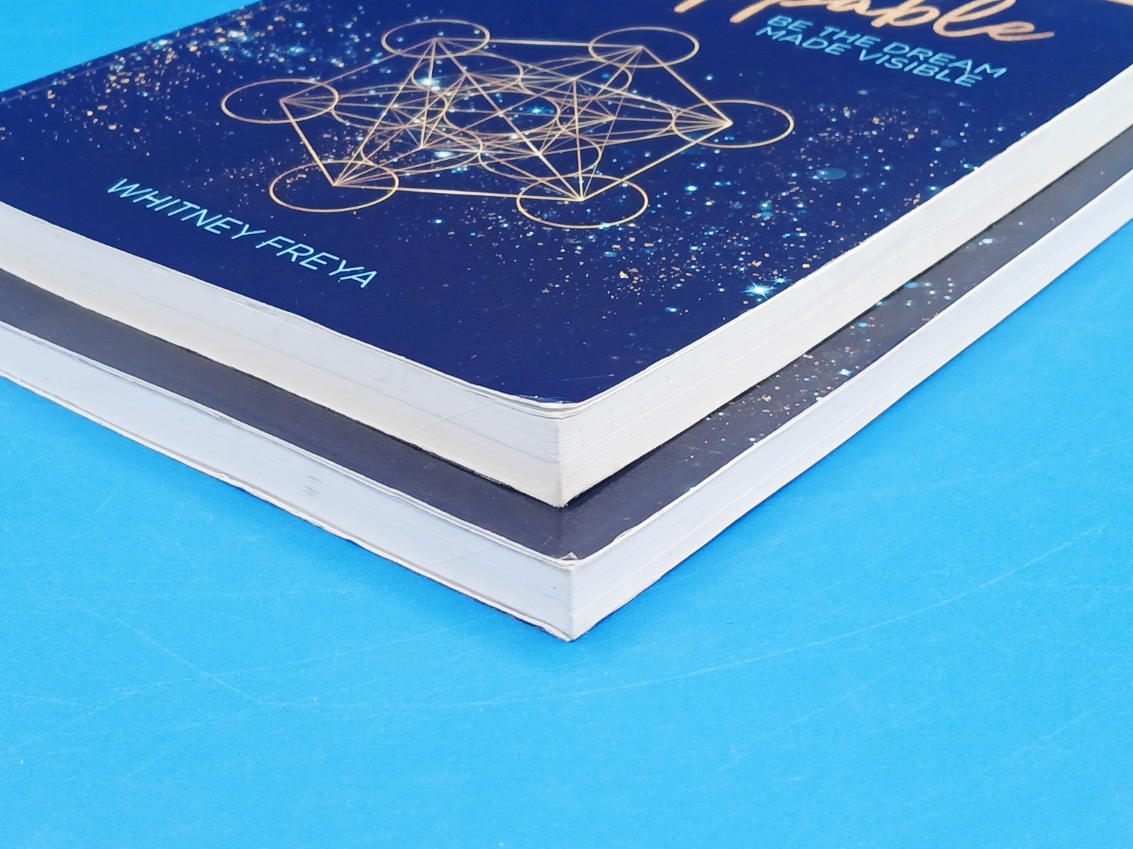 30 Days to Unstoppable: Be the Dream Made Visible + Companion Journal Book…