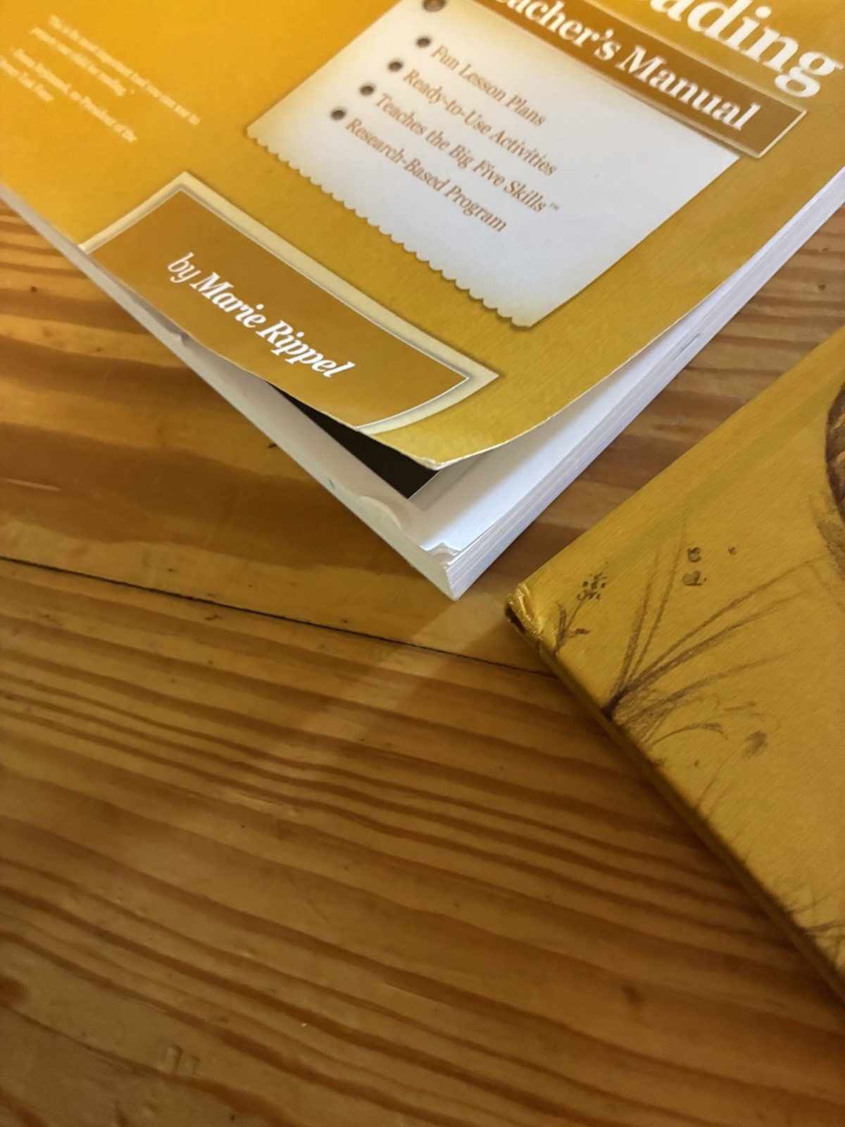 All About Reading prereading set missing my big book of letters student Act book