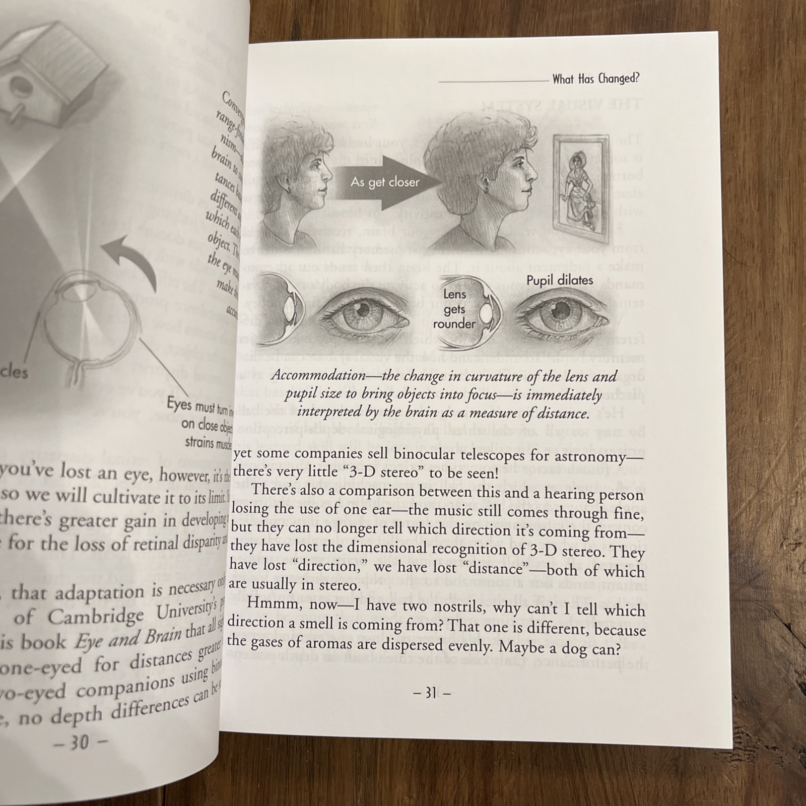 A Singular View: The Art of Seeing With One Eye by Brady, Frank B.