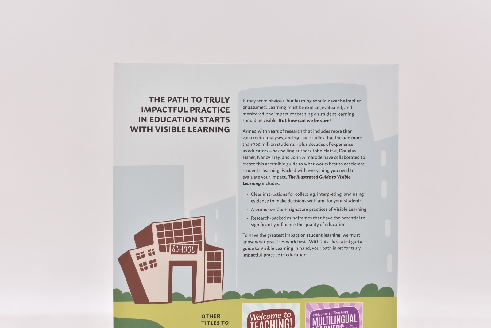 Visible Learning: An Introduction to What Works Best In Schools 1st Edition