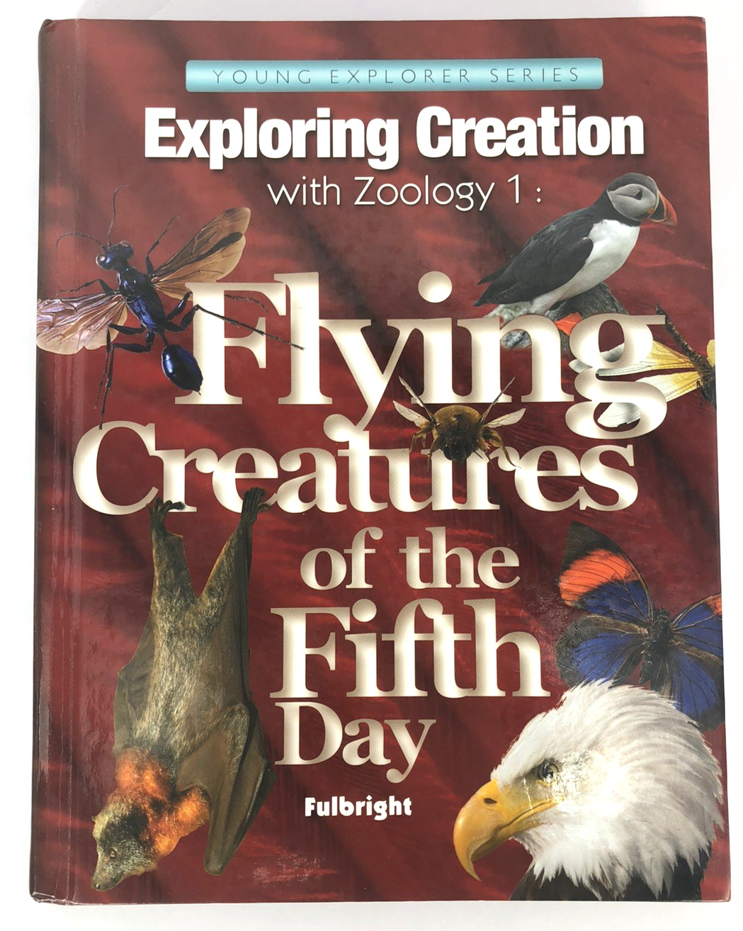 Apologia Lot Young Exploring Creation Zoology 5th Day Textbook Notebooking