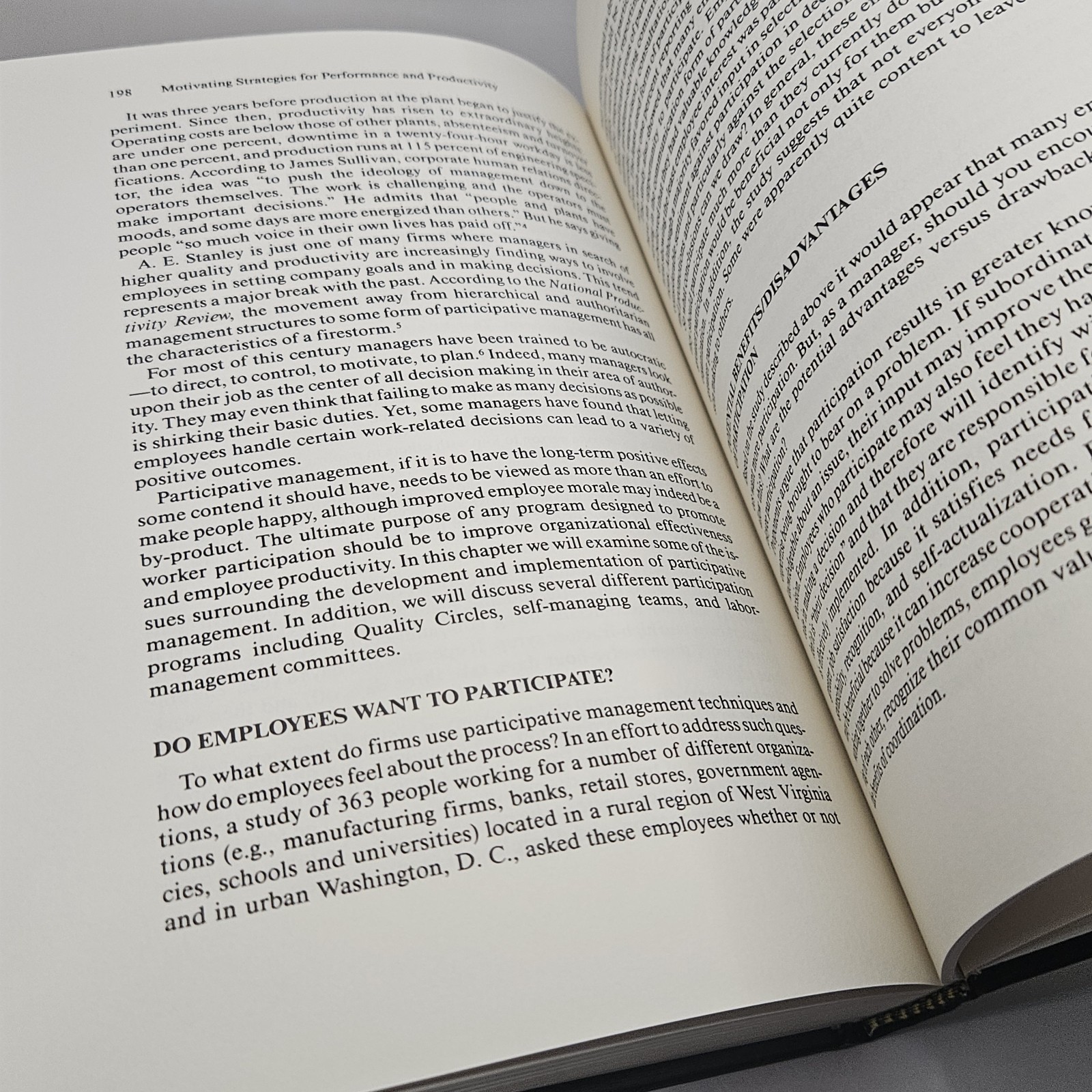 Motivating Strategies for Performance and Productivity : A Guide to Human…