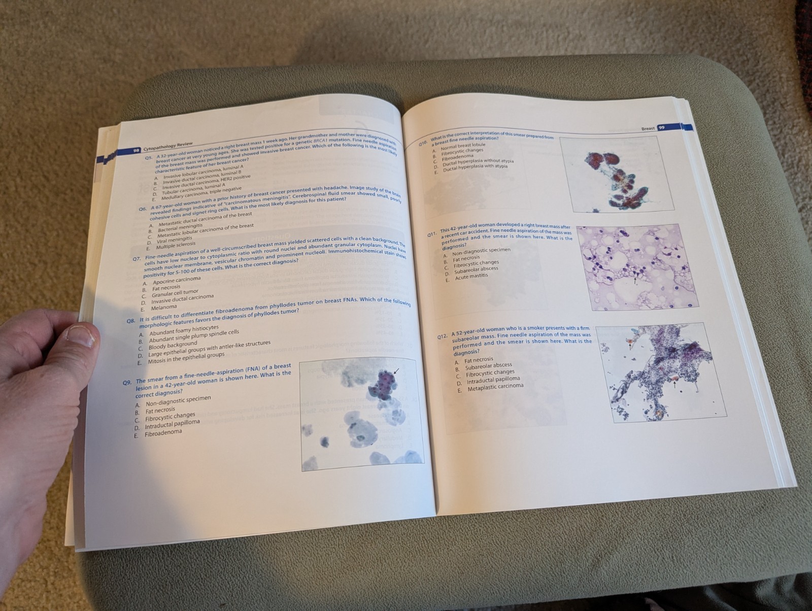 Cytopathology Review 2nd Edition by Fan, Fang, M.D. & Damjanov, Ivan, M.D.