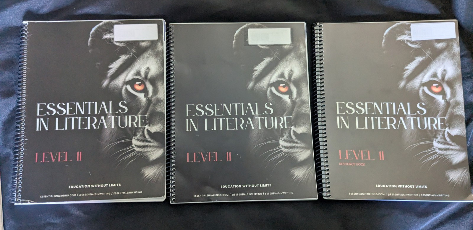 Essentials In Literature Level 11 Book ONLY 2023 update by Stephens