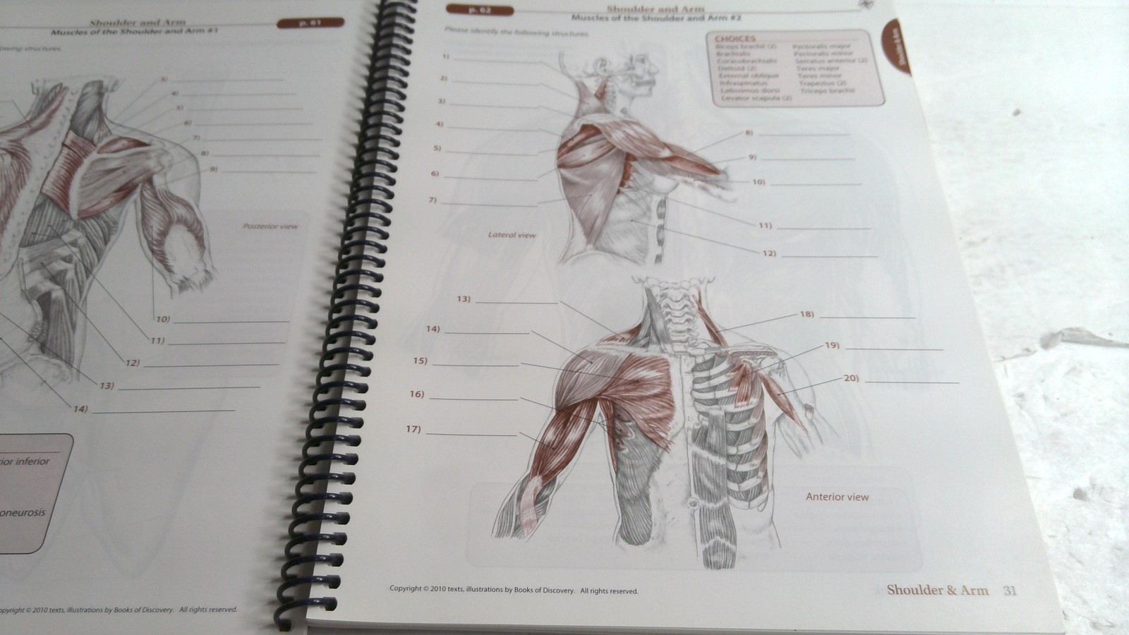 Trail Guide To The Body Student Workbook 4th Ed Andrew Biel Spiral Bound Anatomy