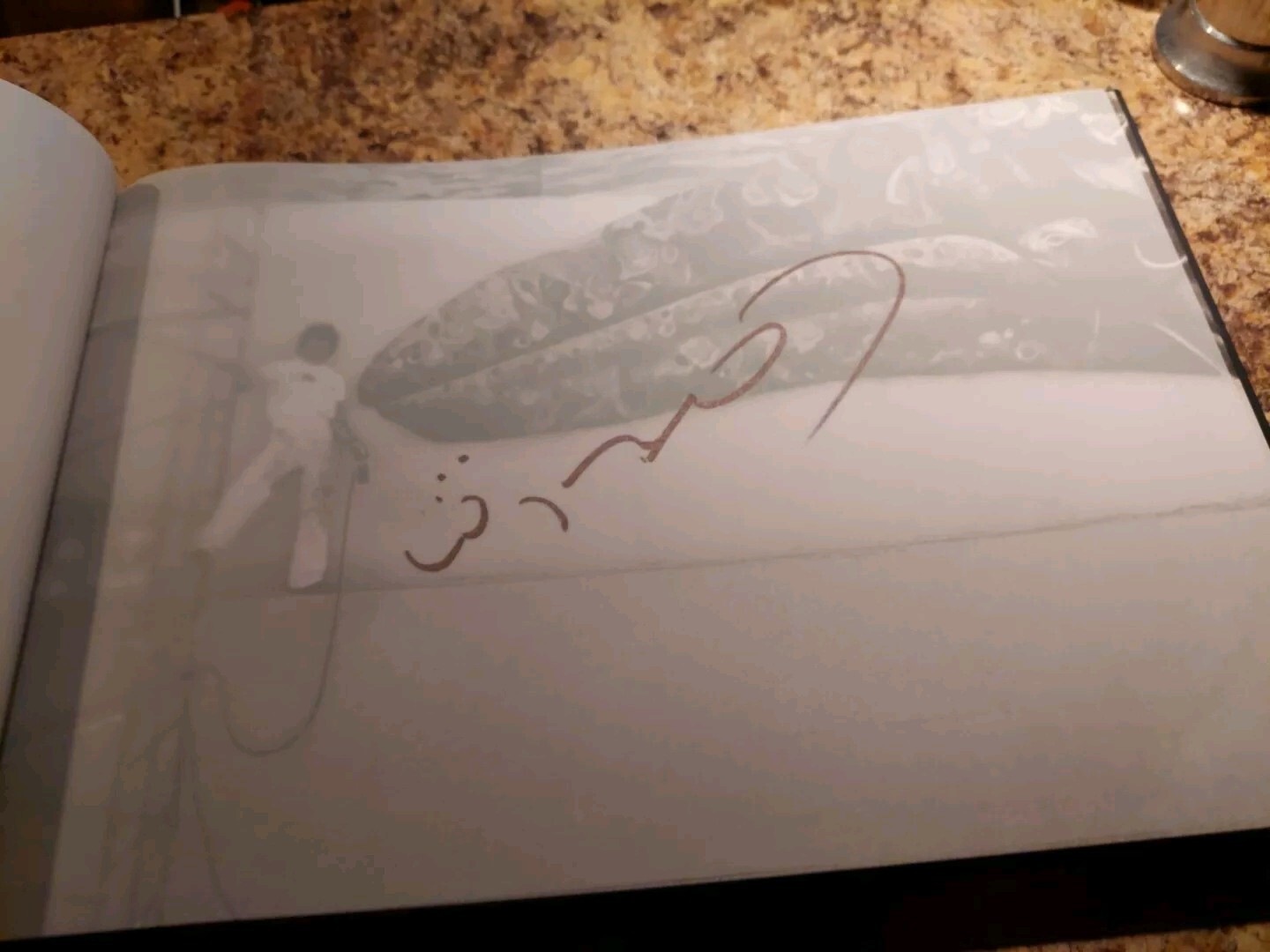 Wyland One Hundred Whaling Walls Mural Art Coffee Table Book – Signed