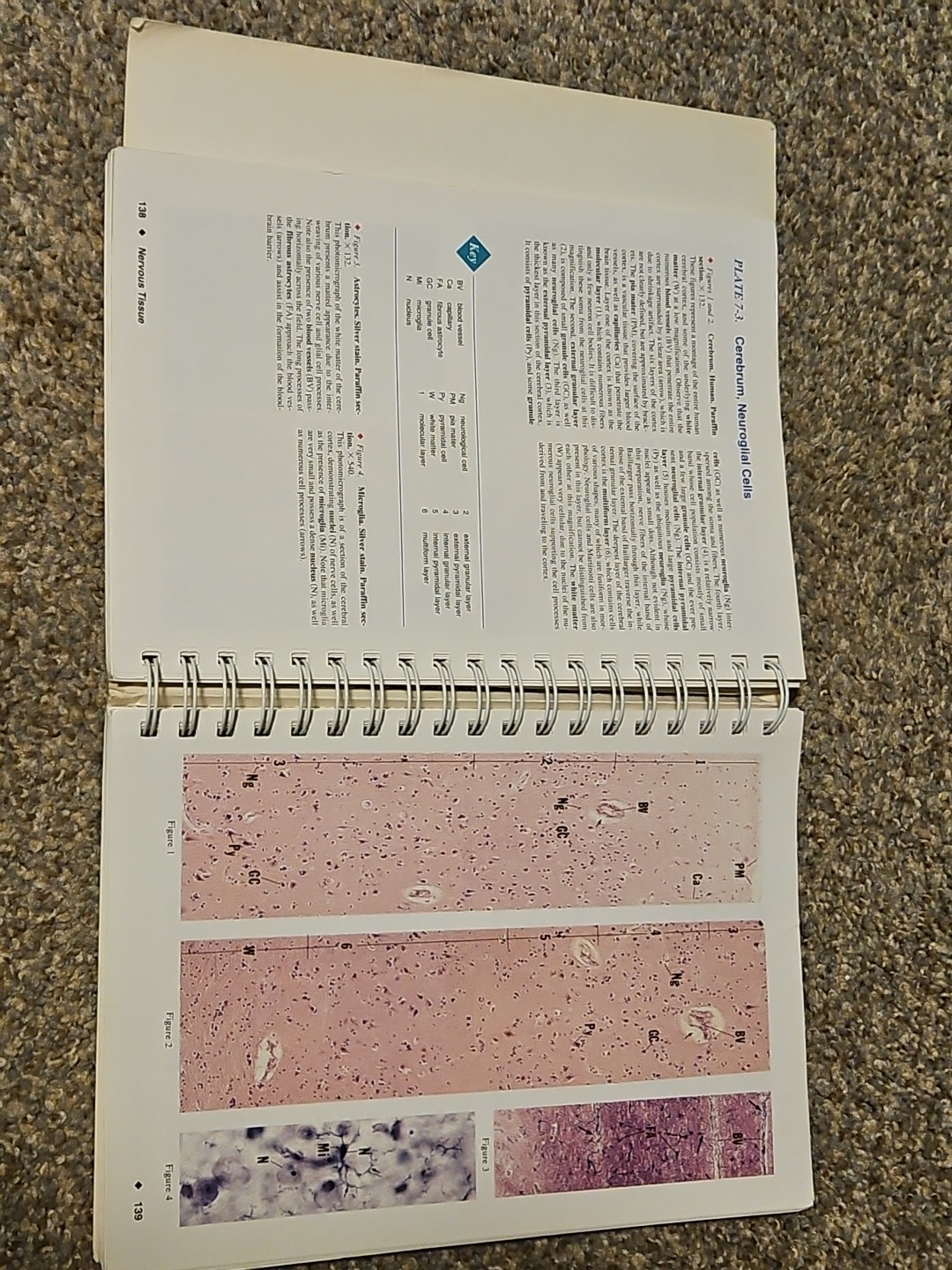 Color Atlas of Histology by Leslie P. Gartner and James Hiatt