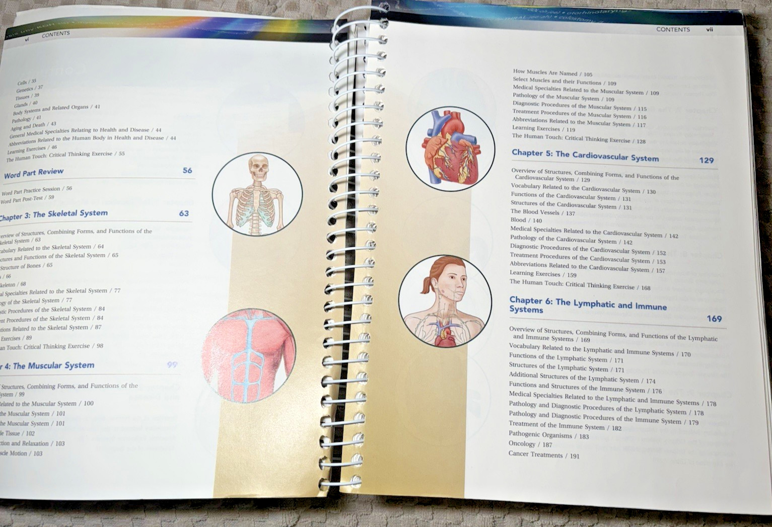 Medical Terminology For Health Professions 7th Edition Ehrlich /Schroeder