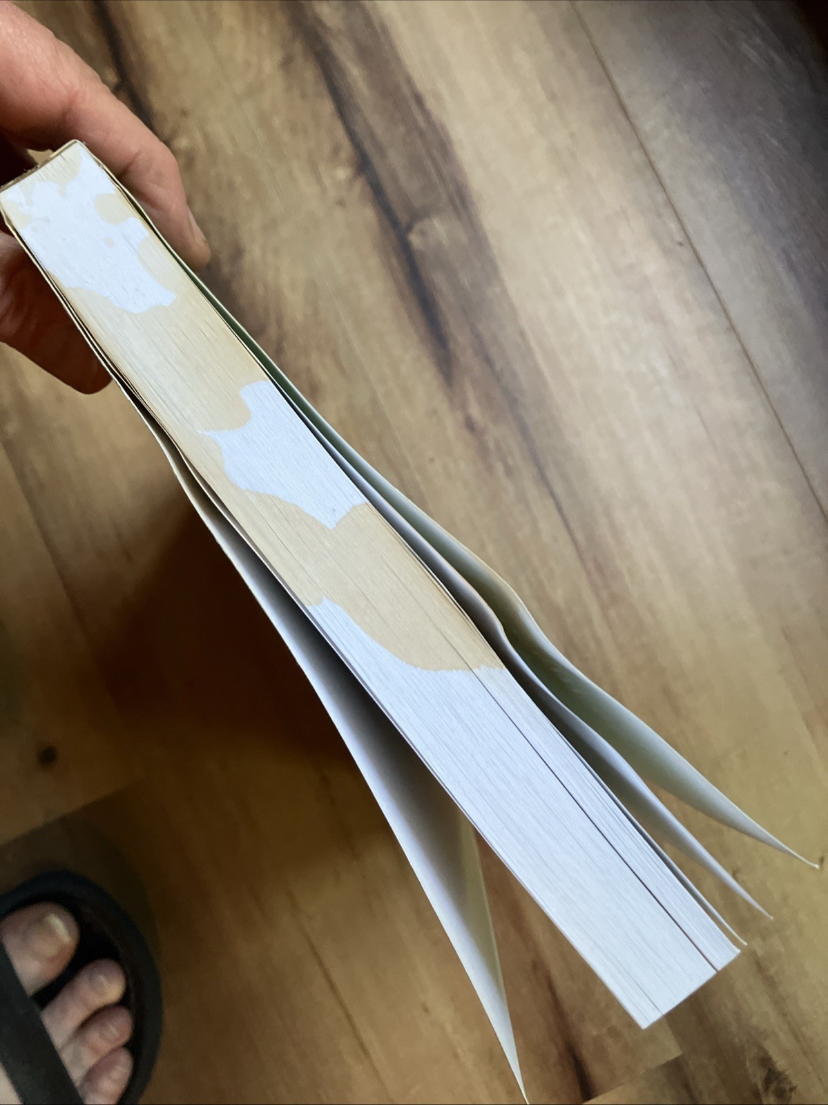 An Illustrated Guide to Pruning by Edward F. Gillman. Second edition