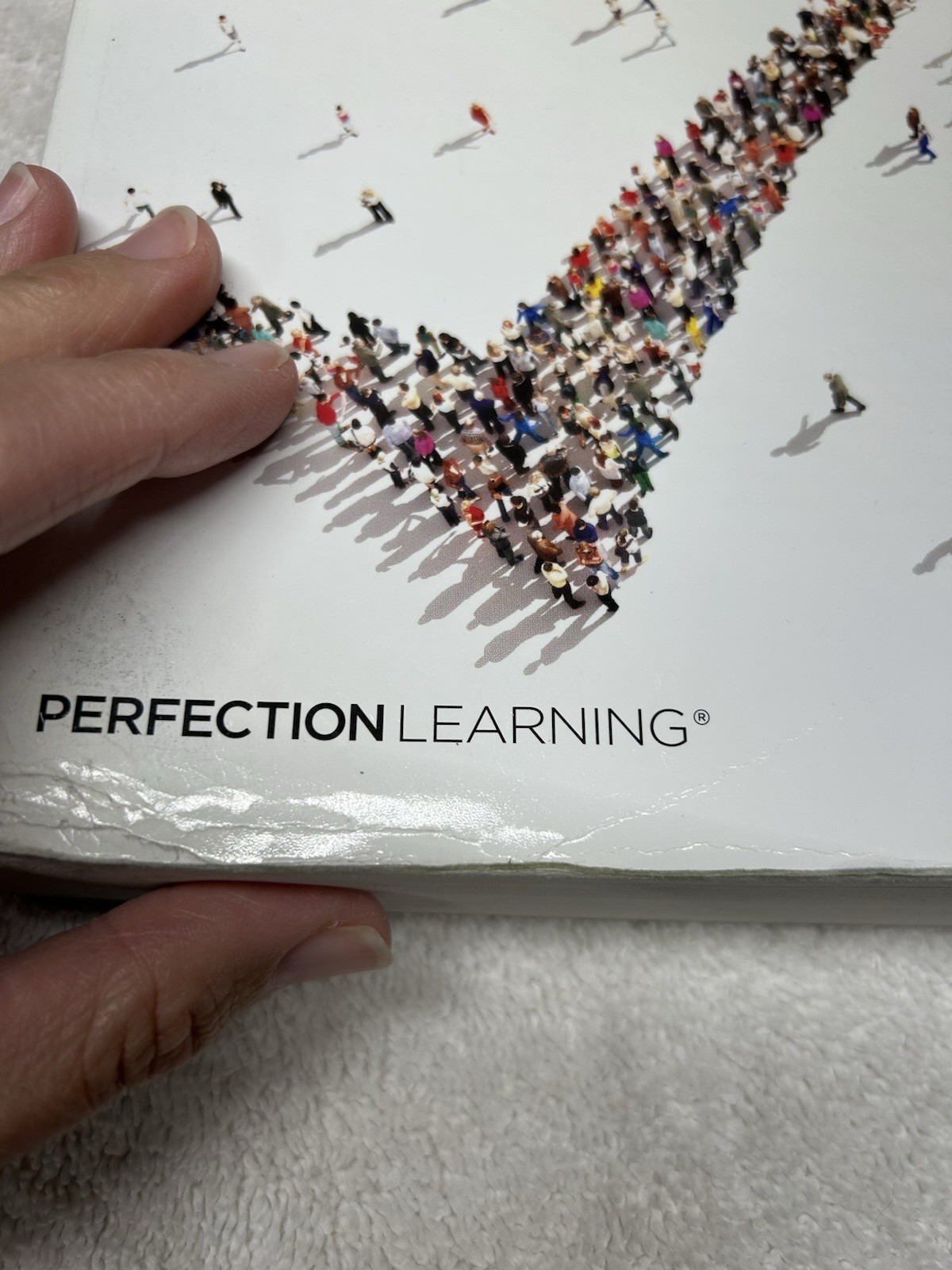 Advanced Placement United States Government & Politics, 3rd Edition by David…