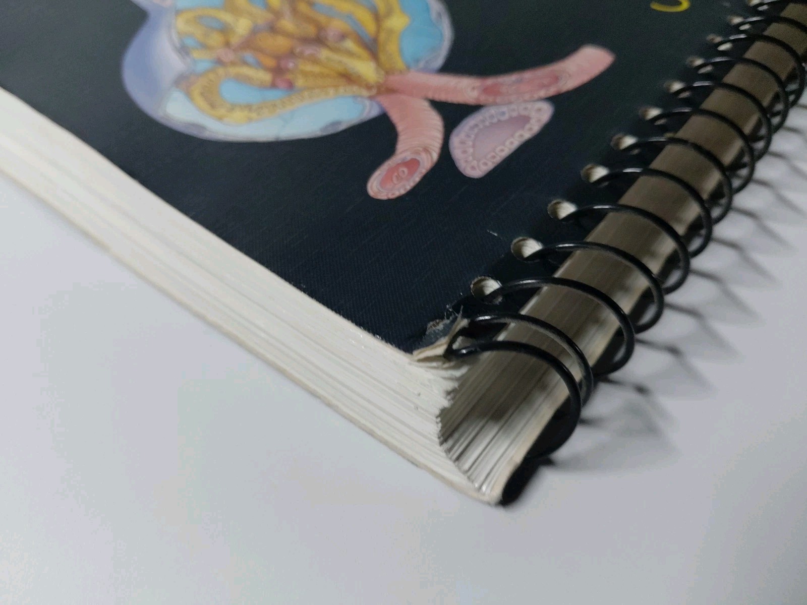 Color Atlas of Histology 1994 Paperback