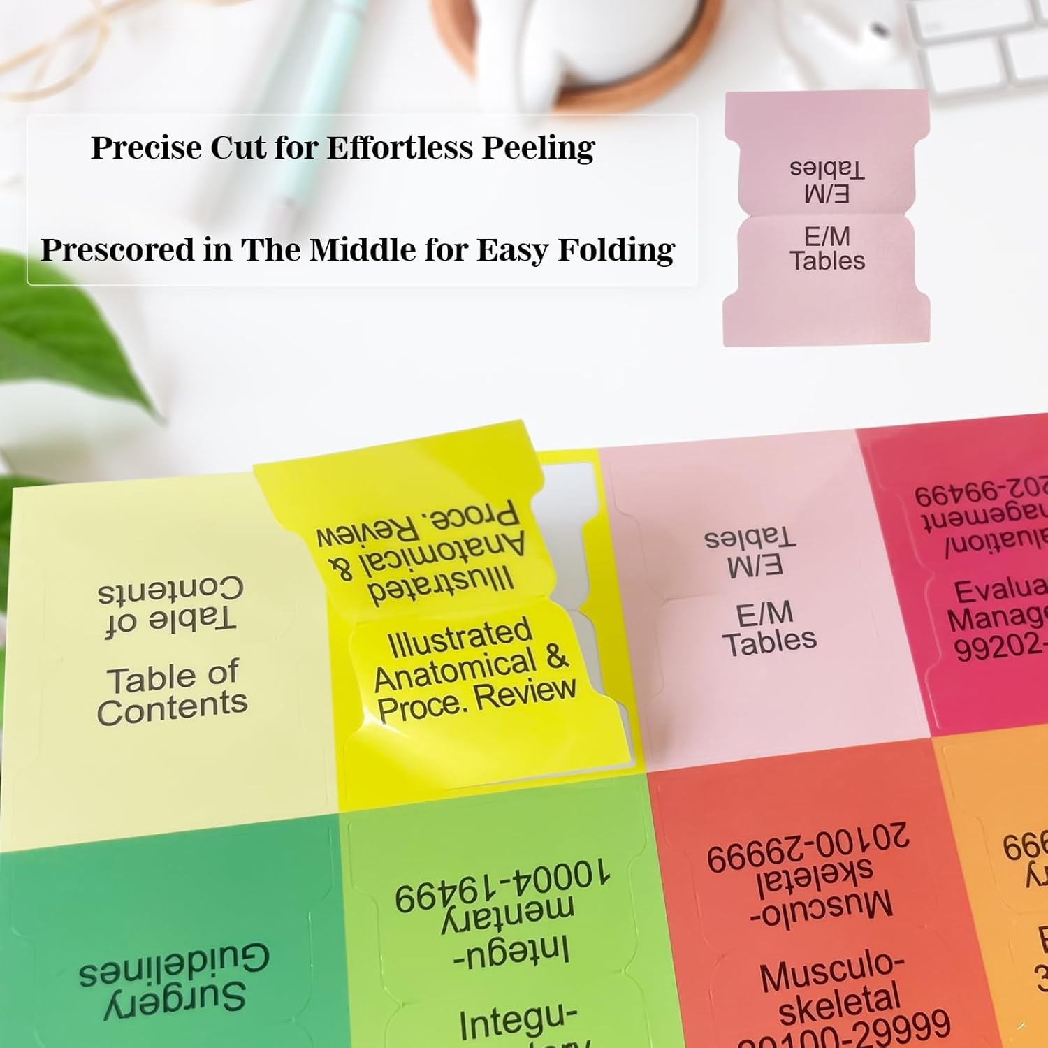 Upgraded Index Tabs for CPT 2026 Professional Edition, Complete CPT Book Tabs…
