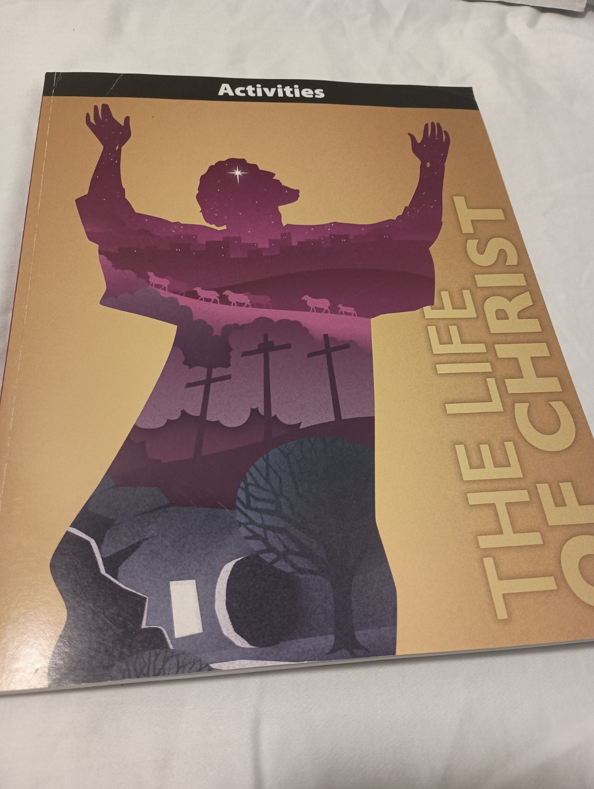 BJU Press The Life of Christ Student Text and Activities Book (2 Books)