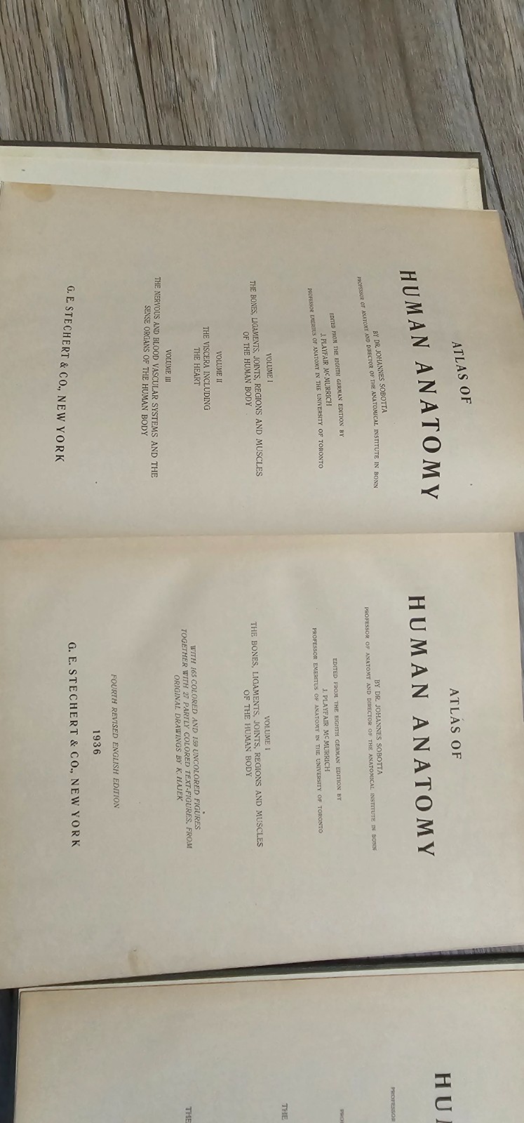 Atlas of Human Anatomy Sobotta-McMurrich 3 volume 1936