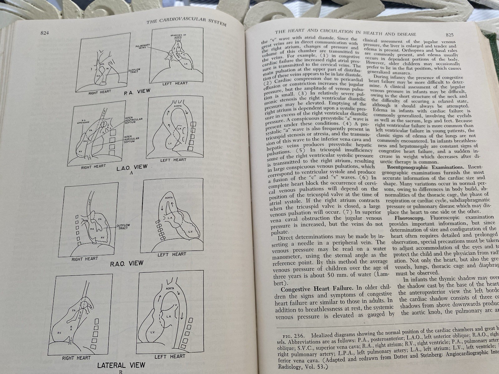Vintage Medical Book: Textbook of Pediatrics Waldo Nelson W B Saunders 1959