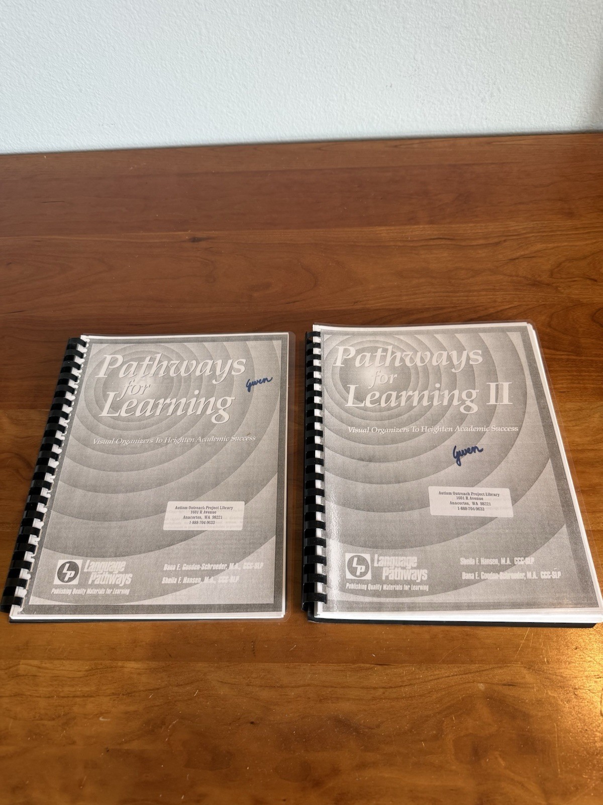 Set: Linguisystems Pathways for Learning Visual Organizers for Academic Success