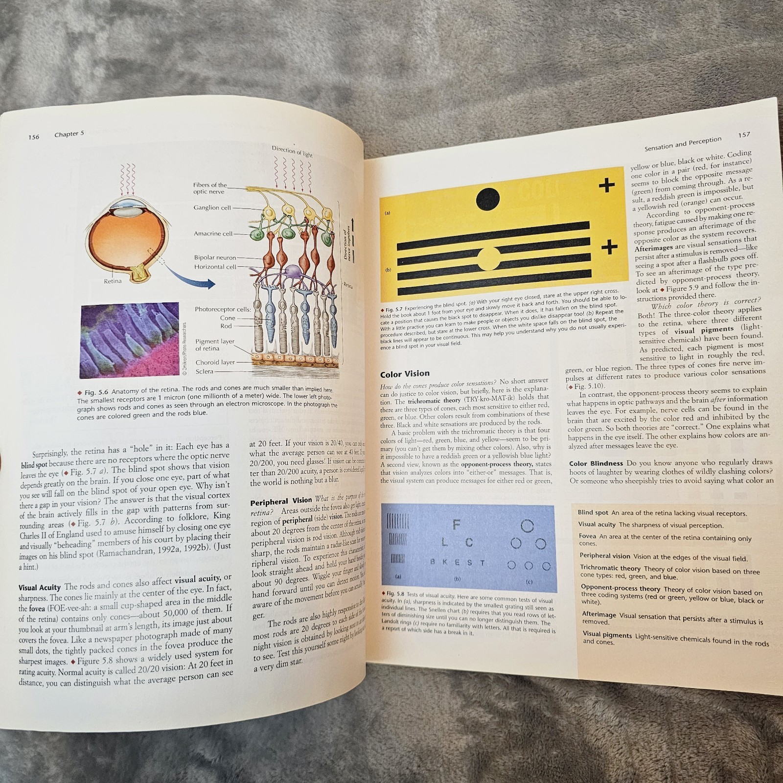 Essentials Of Psychology 9th Edition By Dennis Coon Paperback FLAWS