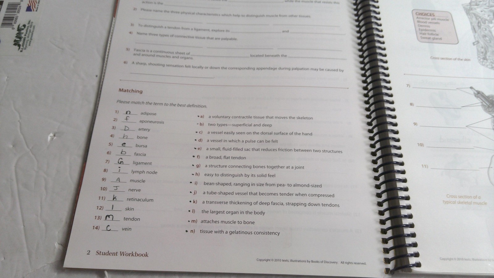 Trail Guide To The Body Student Workbook 4th Ed Andrew Biel Spiral Bound Anatomy