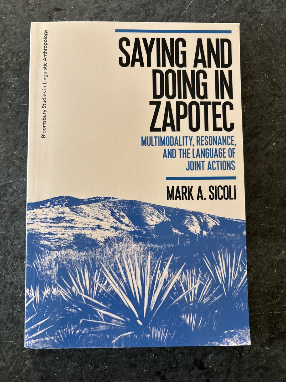 Saying and Doing in Zapotec: Multimodality, Resonance… SIGNED