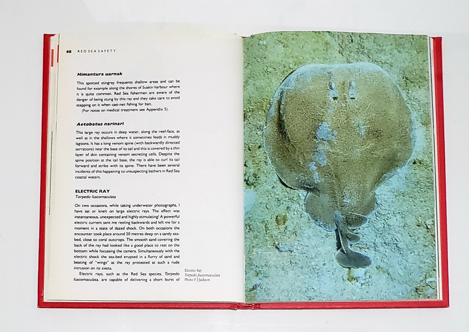 Red Sea Safety by Peter Vine – Hardback Immel Publishing – 144 pages