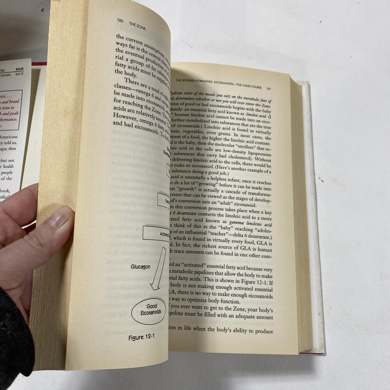 The Zone : A Dietary Road Map – Barry Sears (Dust Jacket, 1995, 1st Edition)
