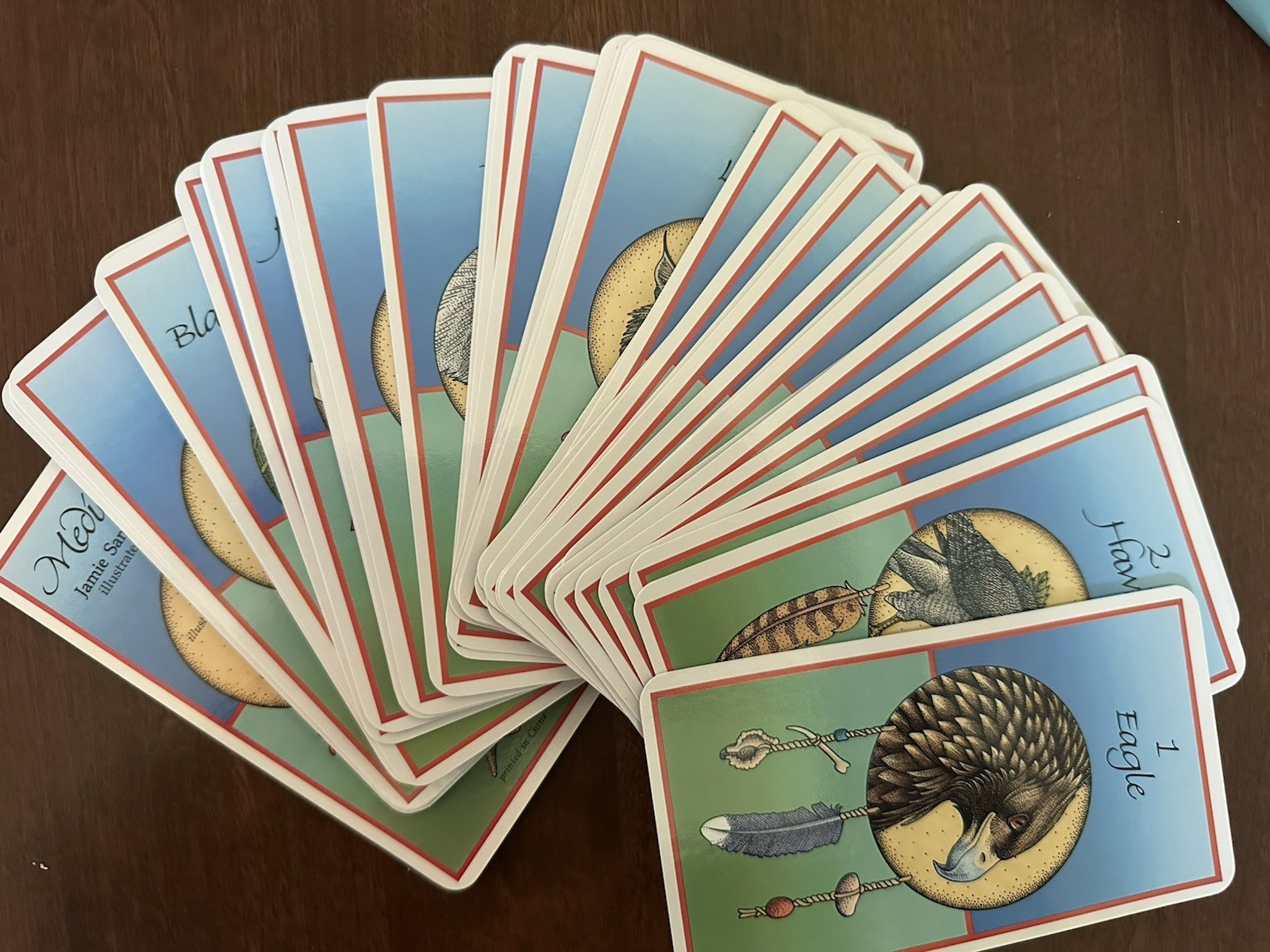 Medicine Cards Book & Card Deck SET by David Carson & Jamie Sams Revised 1999