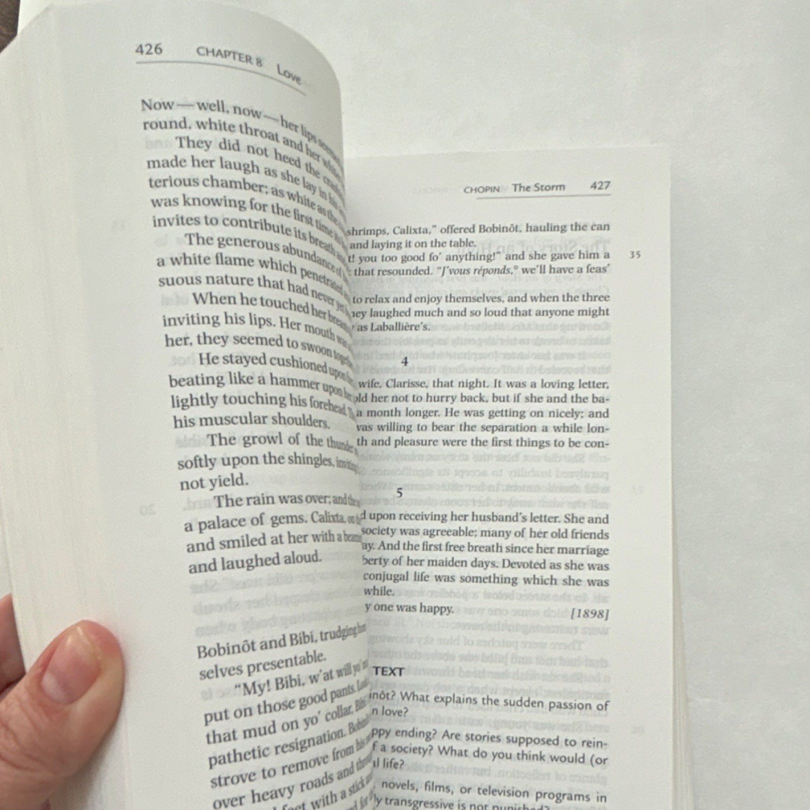 Bedford St. Martin’s Arguing about Literature by Schilb & Clifford Paperback