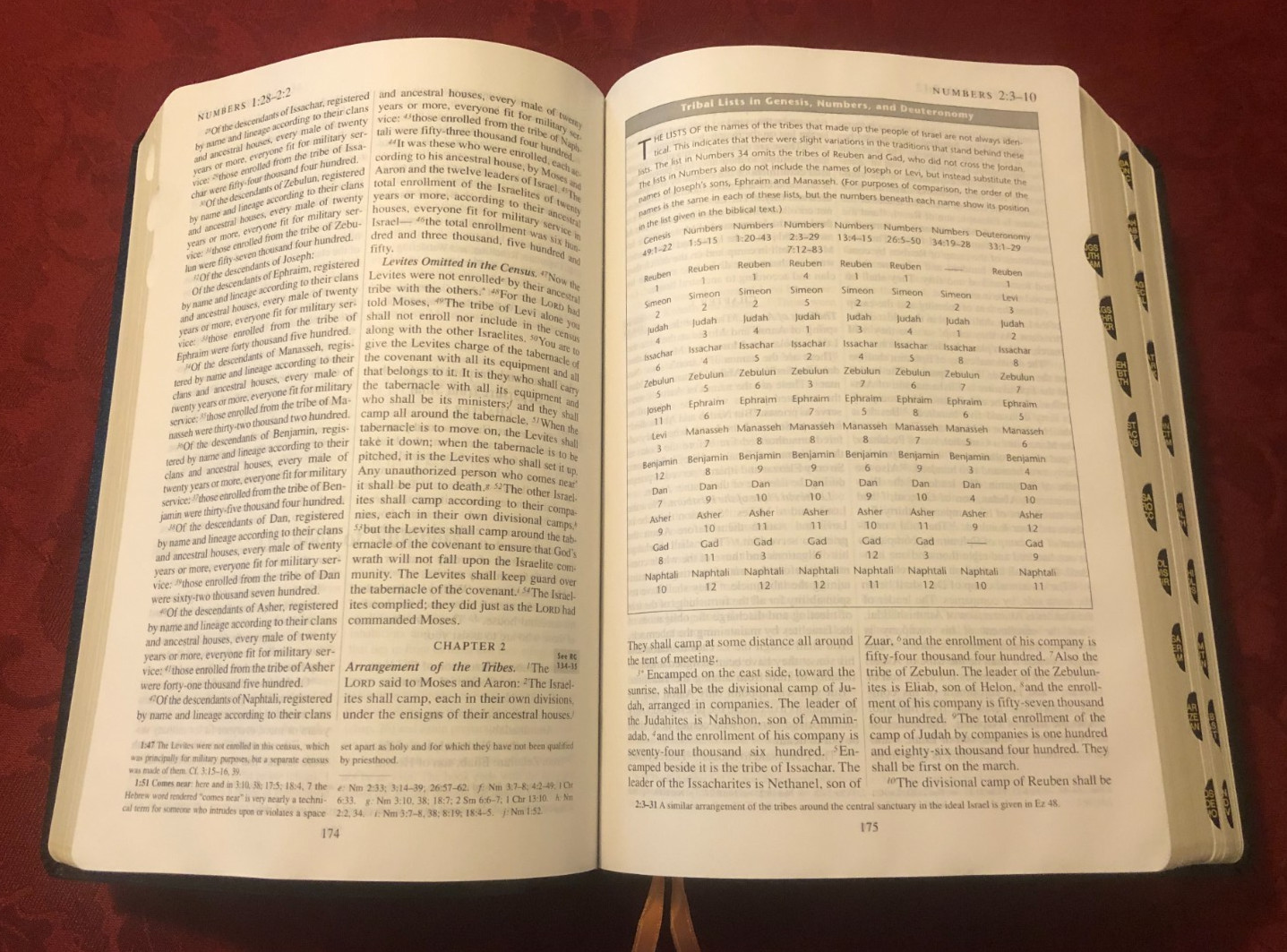 Catholic Study Bible, 2nd Ed. (2011, Bonded Leather/Thumb Indexed)
