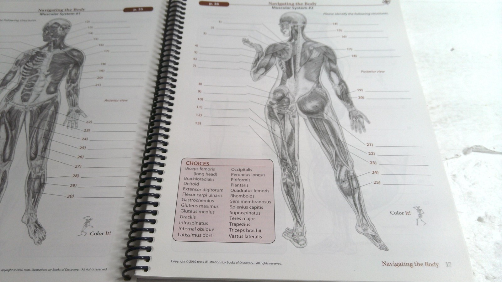 Trail Guide To The Body Student Workbook 4th Ed Andrew Biel Spiral Bound Anatomy