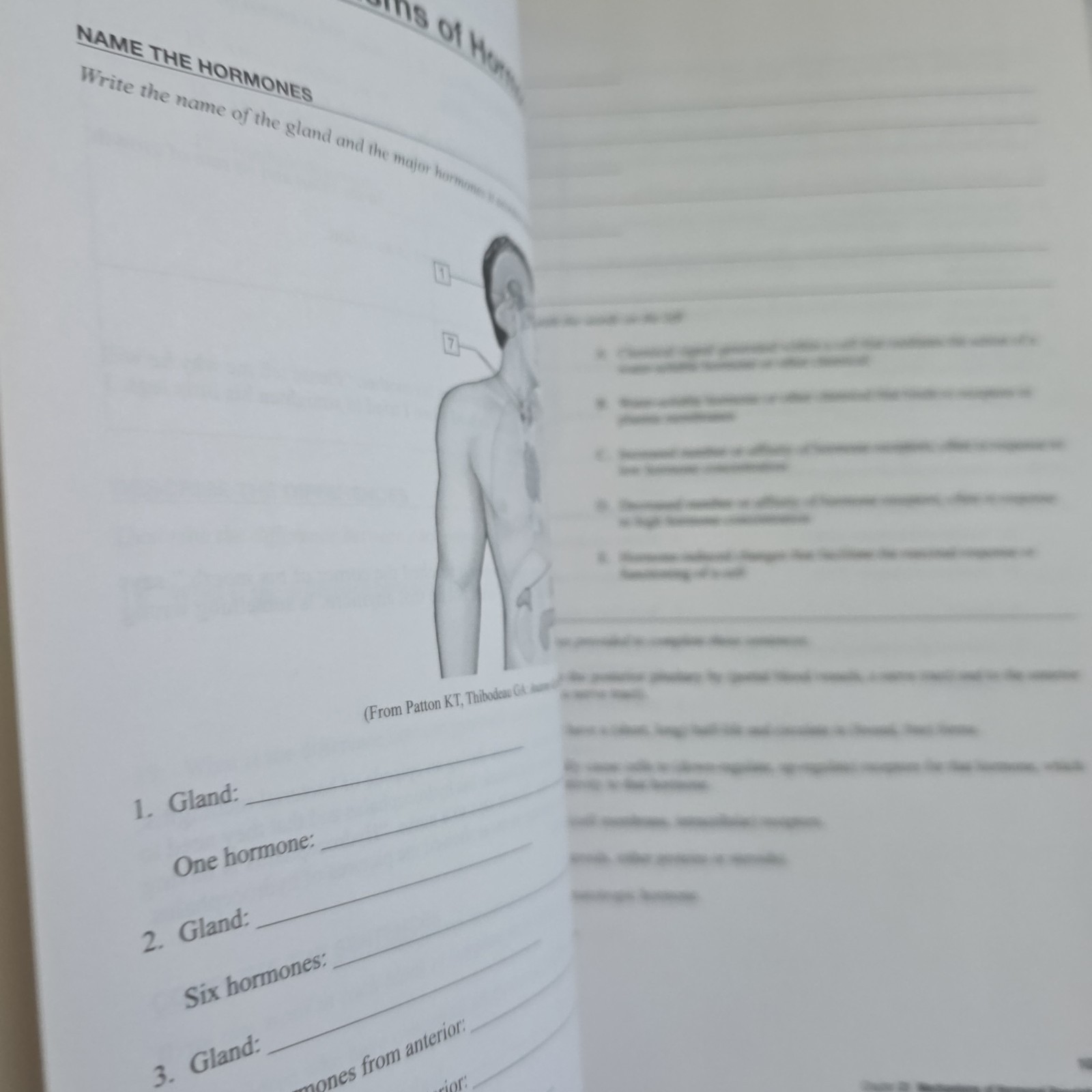 McCance & Huether’s Pathophysiology Study Guide 9th Ed Rogers Felver Elsevier