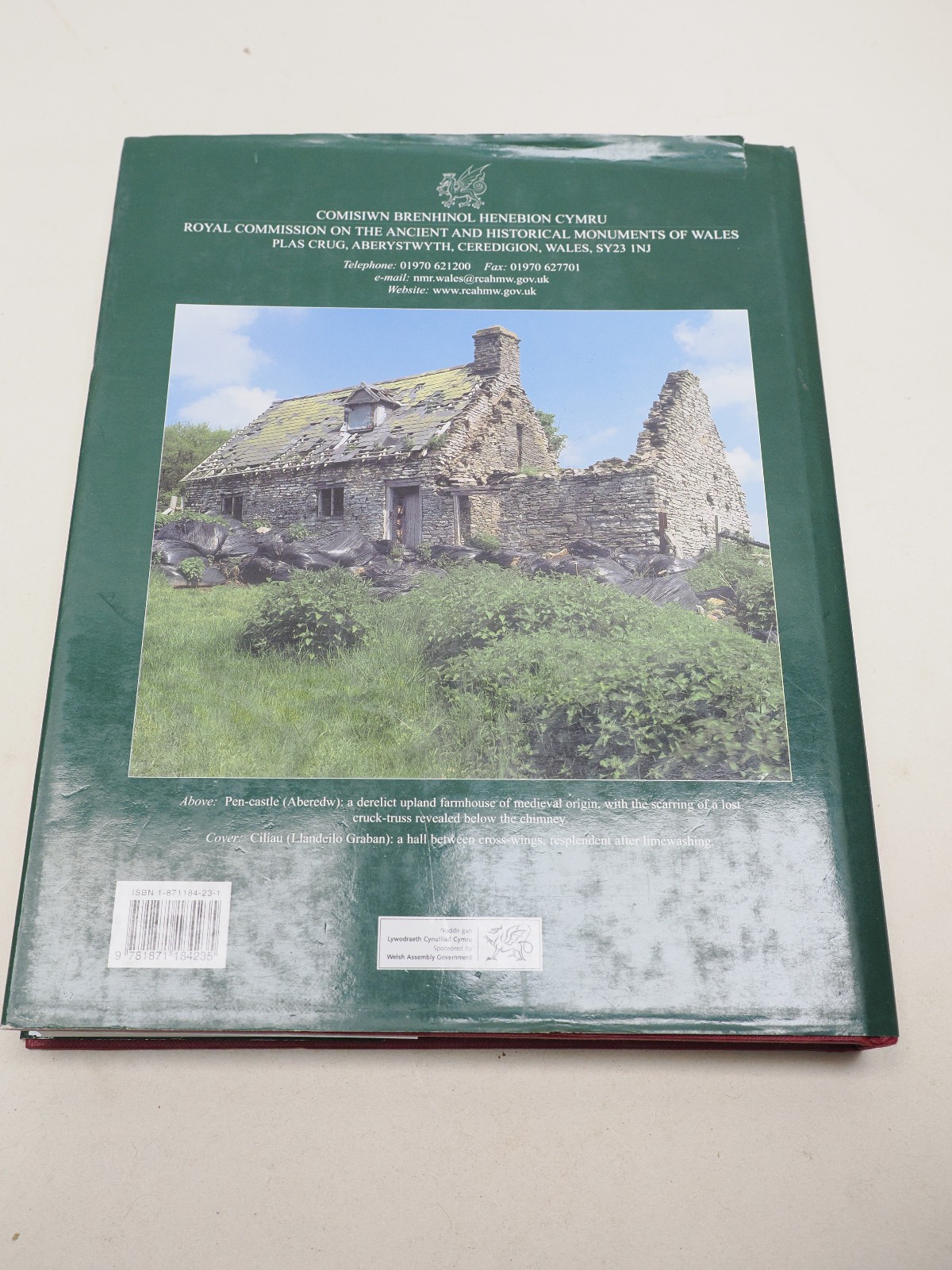 HOUSES & HISTORY IN THE MARCH OF WALES RADNORSHIRE 1400 -1800 R SUGGETT 1ST ED