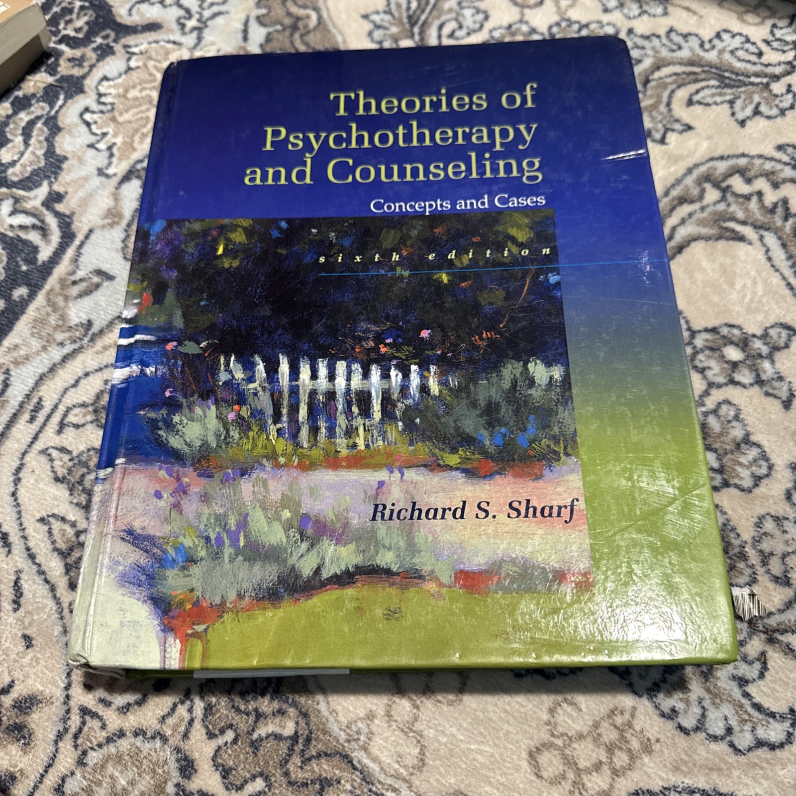 Theories of Psychotherapy & Counseling: Concepts and Cases 6th Edition *GOOD*