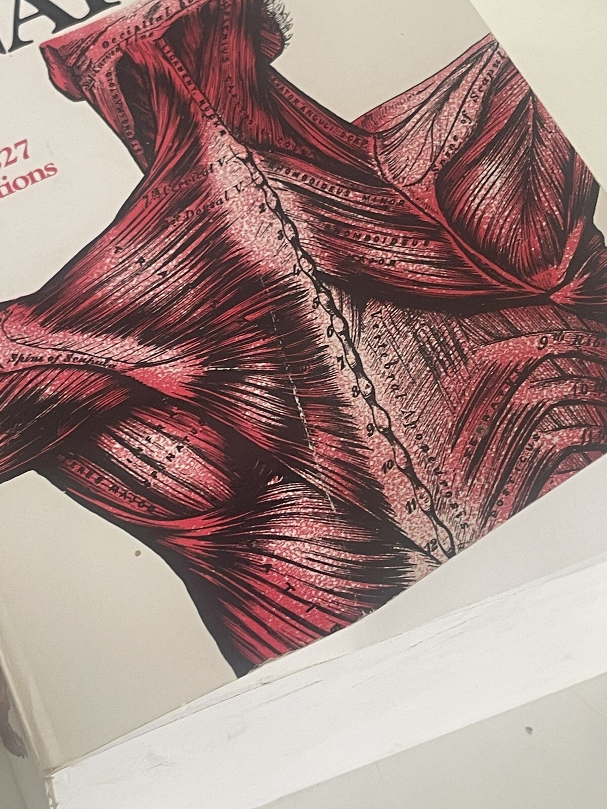 Gray’s Anatomy : The Unabridged Running Press Edition of the American Classic by