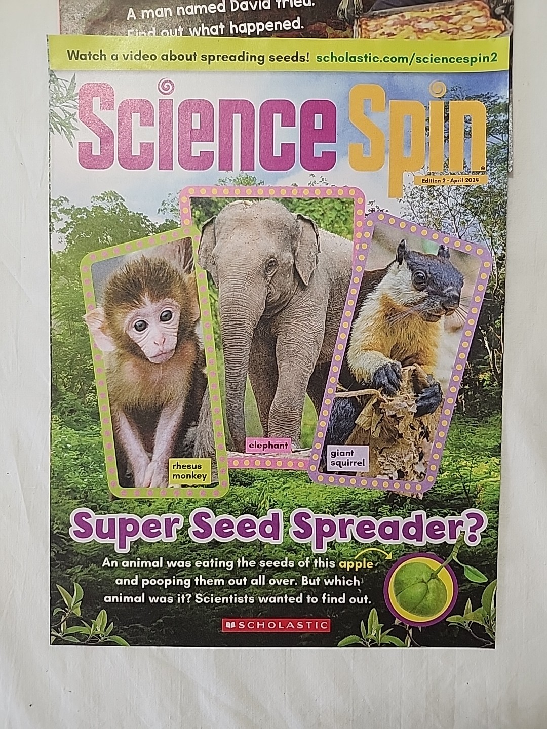 Scholastic News Storyworks Science Spin Homeschool grades K-2 Magazine Lot of 15