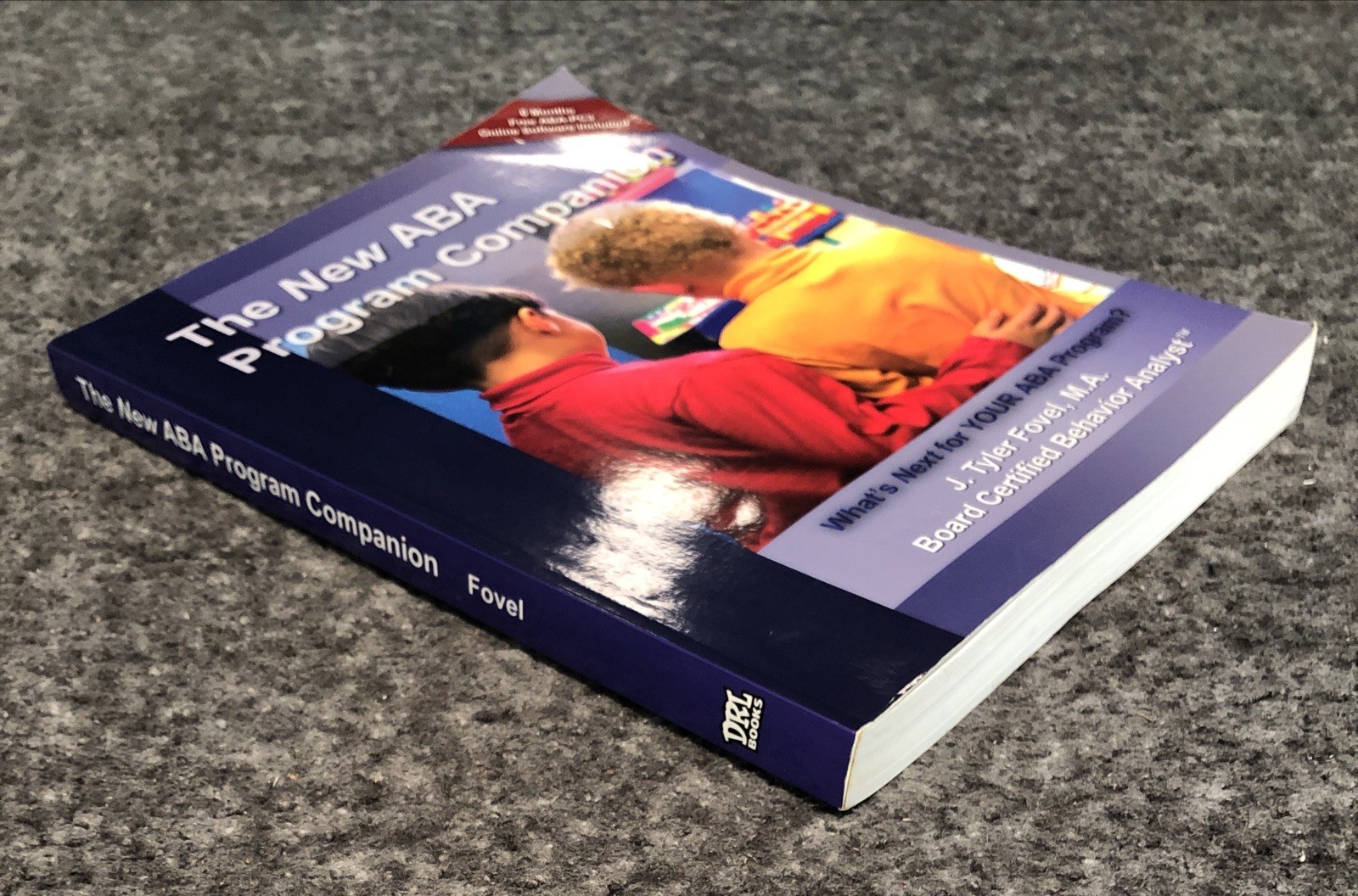 The New ABA Program Companion