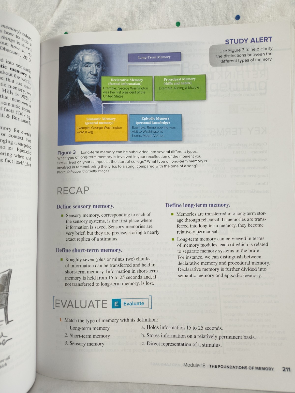Feldman Robert Psychology and Your Life With Paperback Textbook ST46